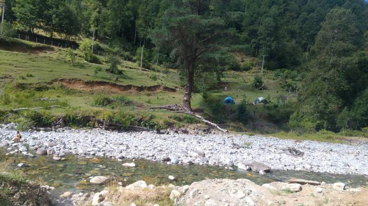Fotografía 2 de Termas Carranco Huilo Huilo en Panguipulli, Los Rios
