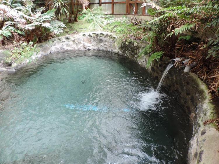 Fotografía 2 de Termas de Liucura en Pucon, Araucania