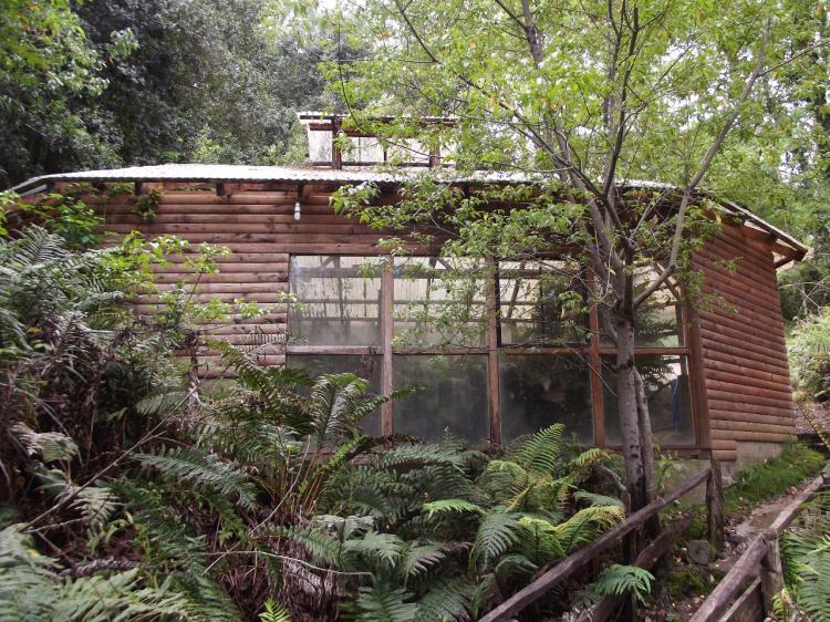 Fotografía 7 de Termas de Liucura en Pucon, Araucania