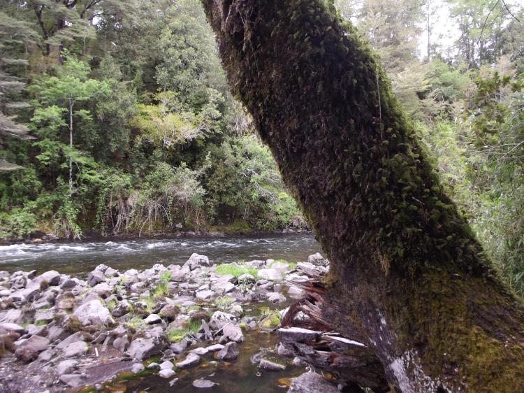 Fotografía 11 de Termas de Liucura en Pucon, Araucania