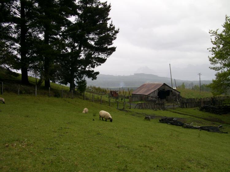 Fotografía 14 de Termas de Liucura en Pucon, Araucania