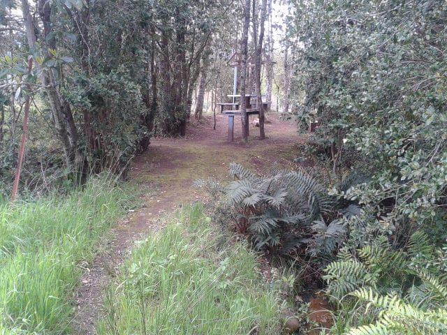 Fotografía 7 de Termas el Recuerdo de Ancamil en Curarrehue, Araucania