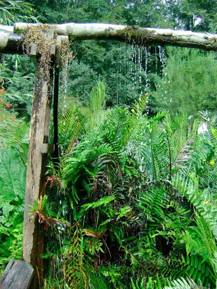 Fotografía 3 de Termas Los Pozones en Pucon, Araucania