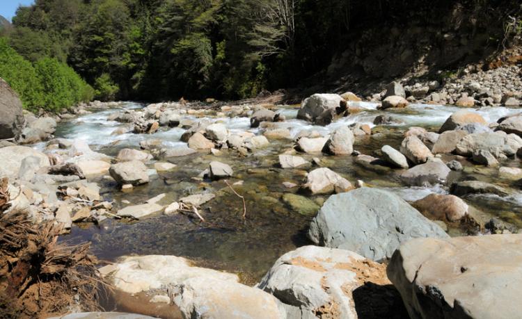 Fotografía 11 de Termas Los Pozones en Pucon, Araucania