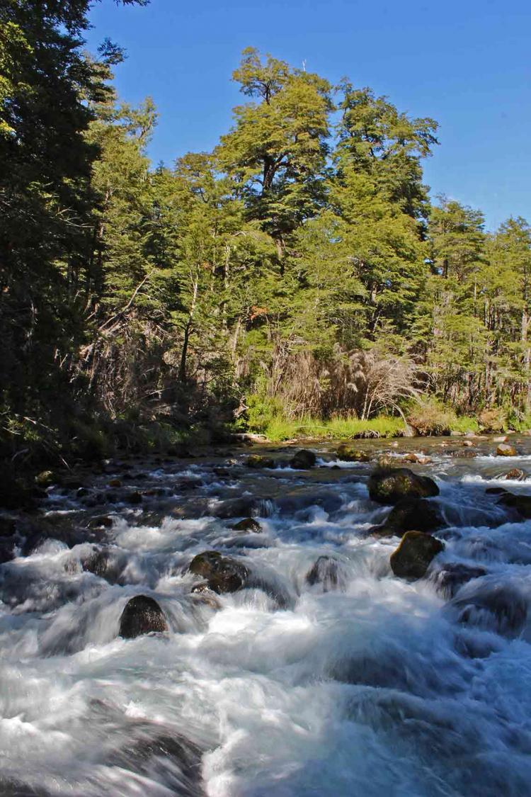 Fotografía 10 de Termas de Palguin en Pucon, Araucania