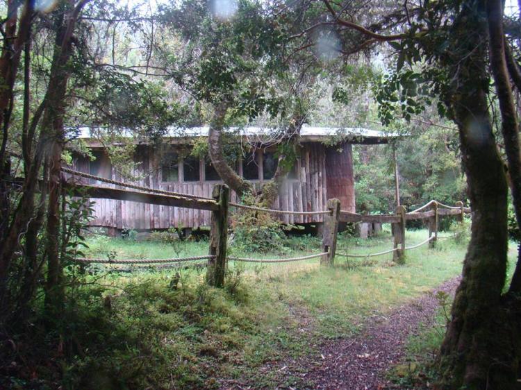 Fotografía 10 de Termas Ralun en Puerto Varas, Los Lagos