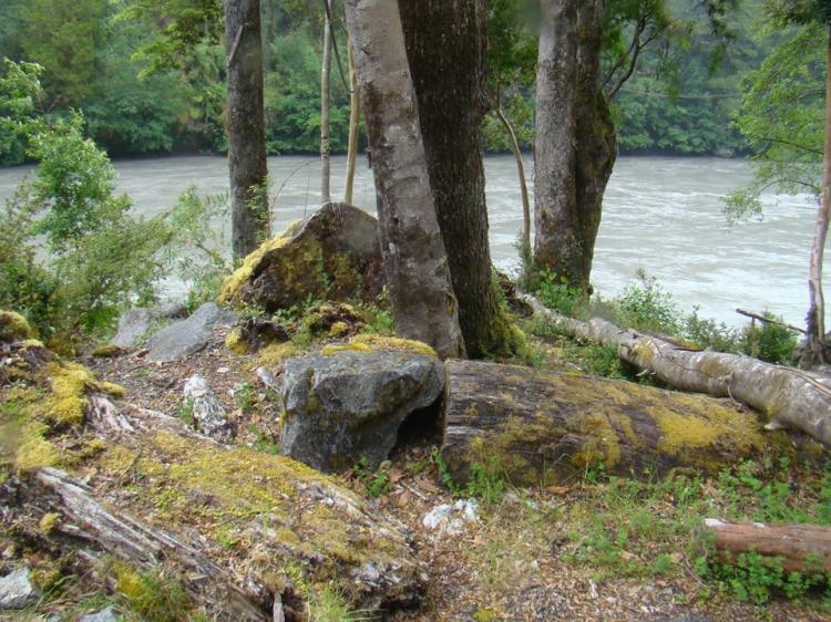 Fotografía 11 de Termas Ralun en Puerto Varas, Los Lagos