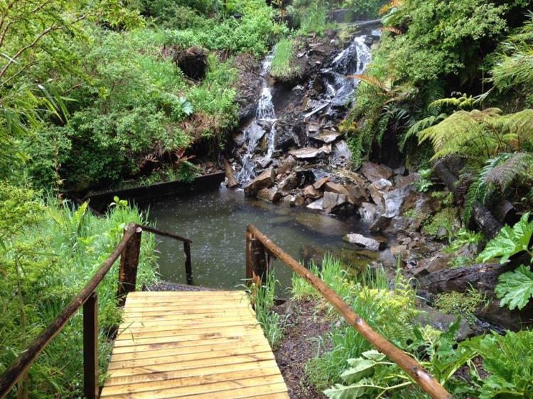 Fotografía 2 de Termas el Rincon en Panguipulli, Los Rios