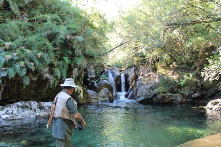 Fotografía 3 de Termas Sotomo en Cochamo, Los Lagos