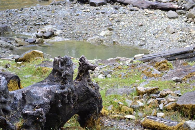 Fotografía 6 de Termas Sotomo en Cochamo, Los Lagos
