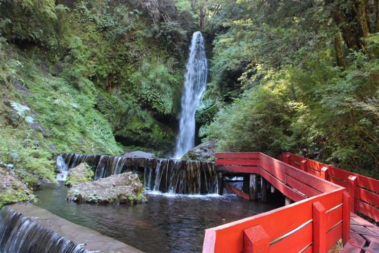 Fotografía 2 de Termas Geométricas en Panguipulli, Los Rios