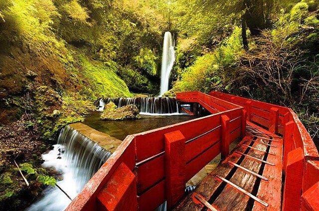 Fotografía 4 de Termas Geométricas en Panguipulli, Los Rios