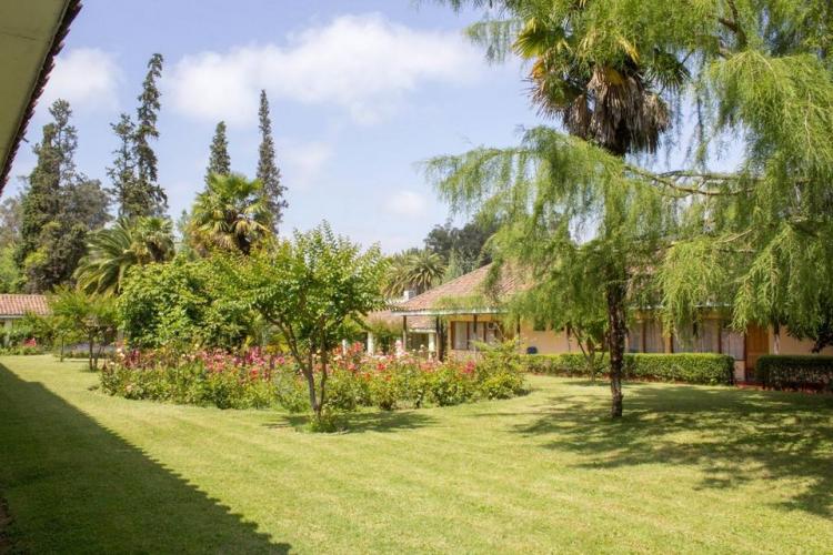 Fotografía 5 de Termas Quinamavida en Colbun, Maule