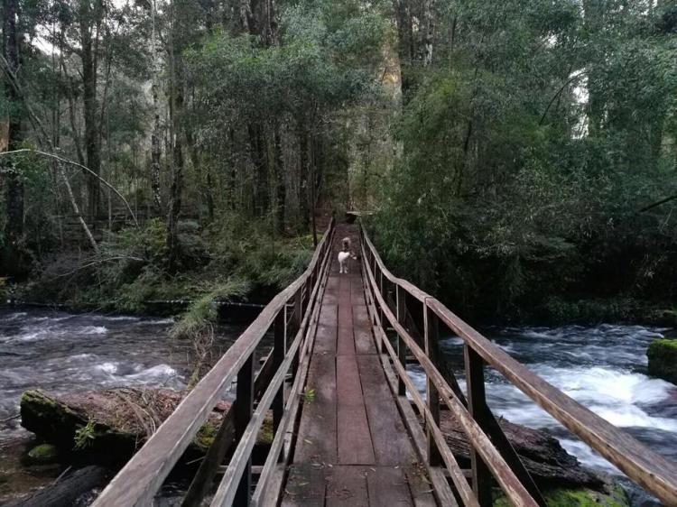Fotografía 4 de Termas Quilalelfu - Coñaripe en Panguipulli, Los Rios