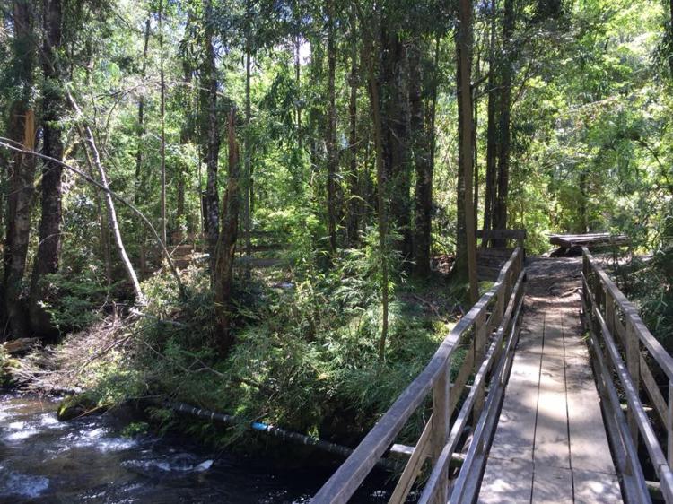 Fotografía 10 de Termas Quilalelfu - Coñaripe en Panguipulli, Los Rios