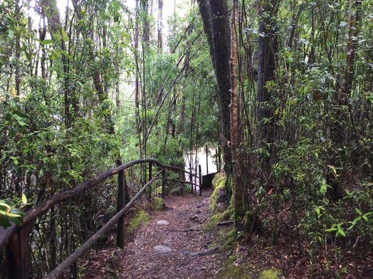 Fotografía 11 de Termas Quilalelfu - Coñaripe en Panguipulli, Los Rios
