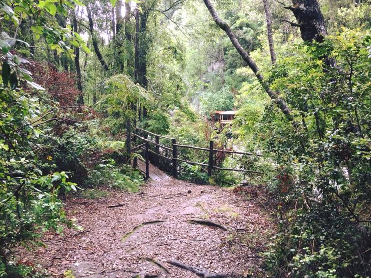 Fotografía 12 de Termas Quilalelfu - Coñaripe en Panguipulli, Los Rios