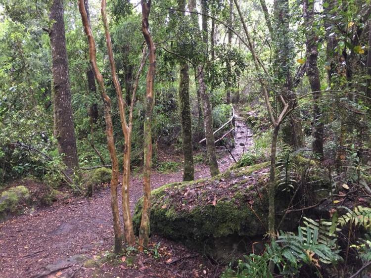 Fotografía 14 de Termas Quilalelfu - Coñaripe en Panguipulli, Los Rios