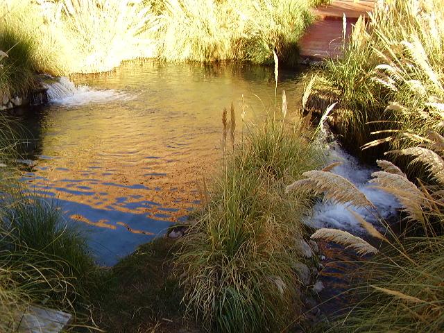 Fotografía 12 de Termas de Puritama en San Pedro De Atacama, Antofagasta
