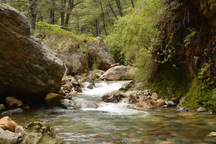 Fotografía 12 de Termas de Malleco en Curacautin, Araucania