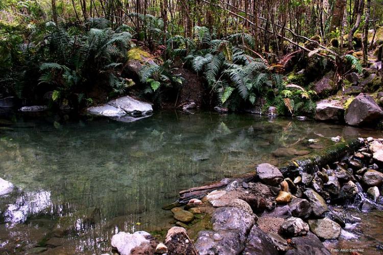Fotografía 6 de Termas de Porcelana en Chaiten, Los Lagos