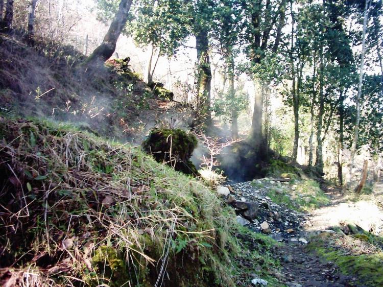 Fotografía 4 de Termas Hipólito Muñoz en Panguipulli, Los Rios