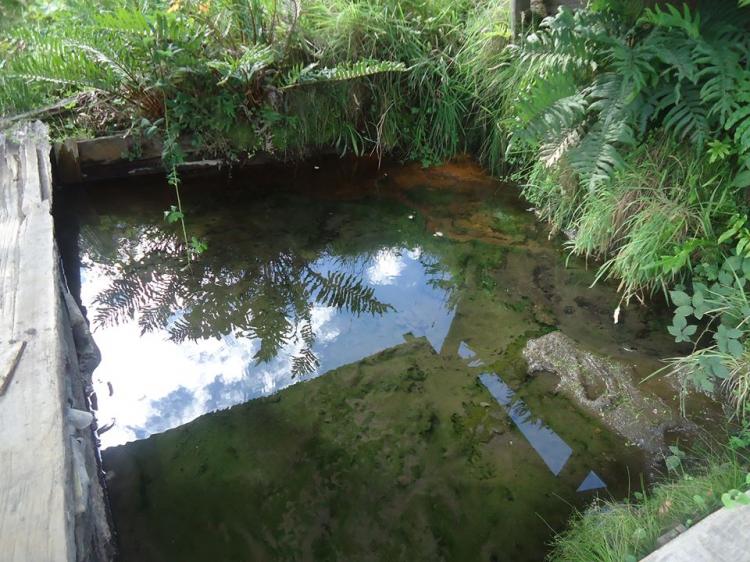 Fotografía 3 de Termas Rayenco en Panguipulli, Los Rios