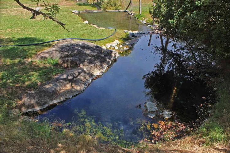Fotografía 3 de Eco Termas de Río Blanco en Cunco, Araucania