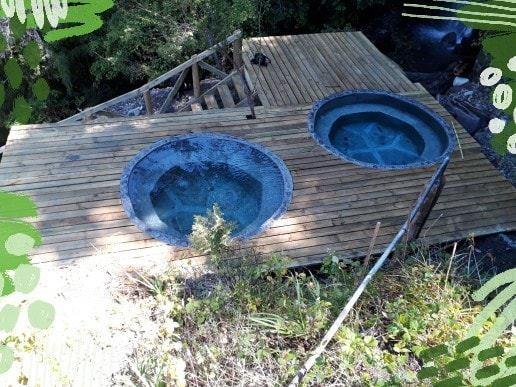 Fotografía 6 de Termas Kokiyen, Chichintawue en Alto Bio Bio, Bio Bio