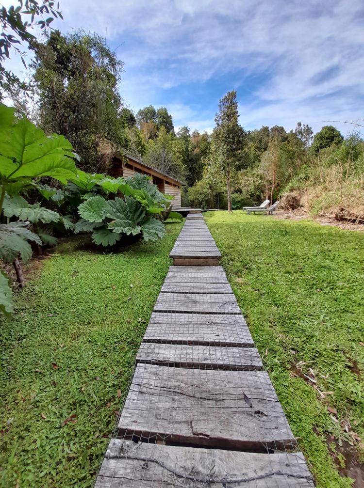 Fotografía 14 de Termas de Pichicolo en Hualaihue
, Los Lagos