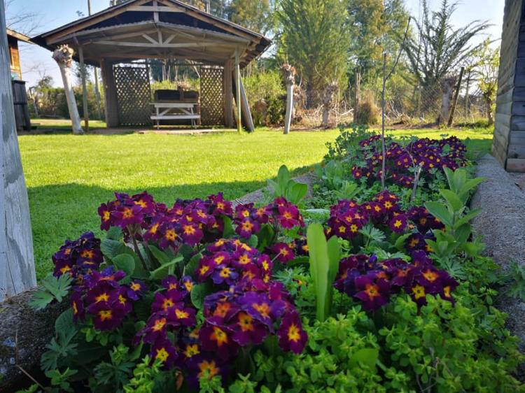 Fotografía 9 de Termas y Aguas Antemávida en Colbun, Maule