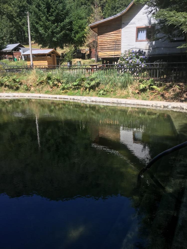 Fotografía 7 de Termas Huilo Huilo en Panguipulli, Los Rios