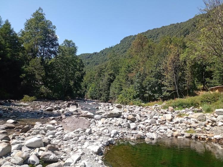 Fotografía 20 de Termas Huilo Huilo en Panguipulli, Los Rios