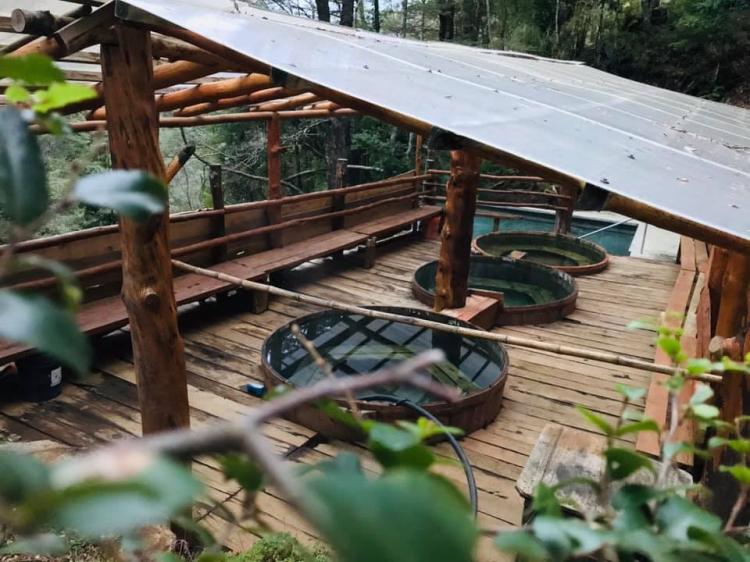 Fotografía 13 de Termas Cofre en Panguipulli, Los Rios