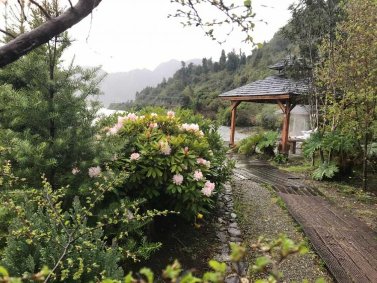 Fotografía 13 de Termas Ventisquero Puyuhuapi en Cisnes, Aysen